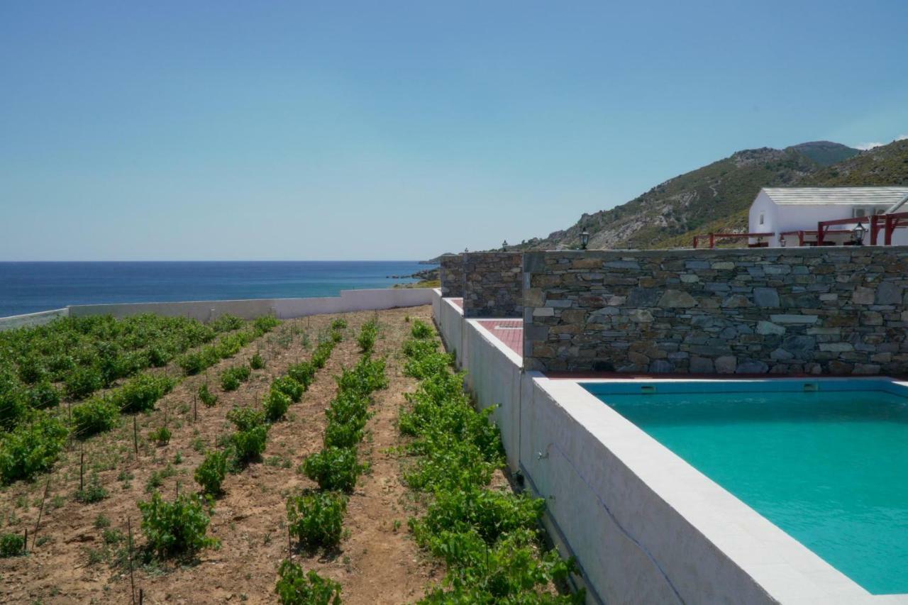 Anefanti Villas Айос-Кирикос Экстерьер фото